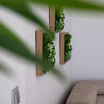 Apartment Noa Mare *